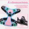 imagerabbitgoo Dog Harness NoPull Pet Harness with 2 Leash Clips Adjustable Soft Padded Dog Vest Reflective NoChoke Pet Oxford Vest with Easy Control Handle for Large Dogs Purple LPink  Blue