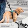imagerabbitgoo Dog Harness NoPull Pet Harness with 2 Leash Clips Adjustable Soft Padded Dog Vest Reflective NoChoke Pet Oxford Vest with Easy Control Handle for Large Dogs Purple LGray