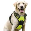 imagerabbitgoo Dog Harness NoPull Pet Harness with 2 Leash Clips Adjustable Soft Padded Dog Vest Reflective NoChoke Pet Oxford Vest with Easy Control Handle for Large Dogs Purple LWild Lime