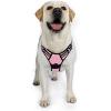 imagerabbitgoo Dog Harness NoPull Pet Harness with 2 Leash Clips Adjustable Soft Padded Dog Vest Reflective NoChoke Pet Oxford Vest with Easy Control Handle for Large Dogs Purple LPink