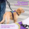 imagerabbitgoo Dog Harness NoPull Pet Harness with 2 Leash Clips Adjustable Soft Padded Dog Vest Reflective NoChoke Pet Oxford Vest with Easy Control Handle for Large Dogs Purple LPurple  Yellow