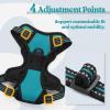 imagerabbitgoo Dog Harness NoPull Pet Harness with 2 Leash Clips Adjustable Soft Padded Dog Vest Reflective NoChoke Pet Oxford Vest with Easy Control Handle for Large Dogs Purple LTeal