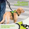 imagerabbitgoo Dog Harness NoPull Pet Harness with 2 Leash Clips Adjustable Soft Padded Dog Vest Reflective NoChoke Pet Oxford Vest with Easy Control Handle for Large Dogs Purple LWild Lime