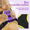 imagerabbitgoo Dog Harness NoPull Pet Harness with 2 Leash Clips Adjustable Soft Padded Dog Vest Reflective NoChoke Pet Oxford Vest with Easy Control Handle for Large Dogs Purple LPurple  Yellow