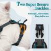 imagerabbitgoo Dog Harness NoPull Pet Harness with 2 Leash Clips Adjustable Soft Padded Dog Vest Reflective NoChoke Pet Oxford Vest with Easy Control Handle for Large Dogs Purple LBlue Coral