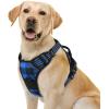 imagerabbitgoo Dog Harness NoPull Pet Harness with 2 Leash Clips Adjustable Soft Padded Dog Vest Reflective NoChoke Pet Oxford Vest with Easy Control Handle for Large Dogs Purple LCheckered Blue
