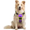 imagerabbitgoo Dog Harness NoPull Pet Harness with 2 Leash Clips Adjustable Soft Padded Dog Vest Reflective NoChoke Pet Oxford Vest with Easy Control Handle for Large Dogs Purple LPurple  Yellow