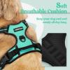 imagerabbitgoo Dog Harness NoPull Pet Harness with 2 Leash Clips Adjustable Soft Padded Dog Vest Reflective NoChoke Pet Oxford Vest with Easy Control Handle for Large Dogs Purple LTurquoise