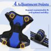 imagerabbitgoo Dog Harness NoPull Pet Harness with 2 Leash Clips Adjustable Soft Padded Dog Vest Reflective NoChoke Pet Oxford Vest with Easy Control Handle for Large Dogs Purple LDazzling Blue