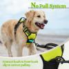 imagerabbitgoo Dog Harness NoPull Pet Harness with 2 Leash Clips Adjustable Soft Padded Dog Vest Reflective NoChoke Pet Oxford Vest with Easy Control Handle for Large Dogs Purple LWild Lime