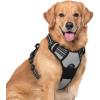 imagerabbitgoo Dog Harness NoPull Pet Harness with 2 Leash Clips Adjustable Soft Padded Dog Vest Reflective NoChoke Pet Oxford Vest with Easy Control Handle for Large Dogs Purple LGray