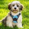 imagerabbitgoo Dog Harness NoPull Pet Harness with 2 Leash Clips Adjustable Soft Padded Dog Vest Reflective NoChoke Pet Oxford Vest with Easy Control Handle for Large Dogs Purple LBlue