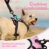 imagerabbitgoo Dog Harness NoPull Pet Harness with 2 Leash Clips Adjustable Soft Padded Dog Vest Reflective NoChoke Pet Oxford Vest with Easy Control Handle for Large Dogs Purple LPink