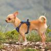 imagerabbitgoo Dog Harness NoPull Pet Harness with 2 Leash Clips Adjustable Soft Padded Dog Vest Reflective NoChoke Pet Oxford Vest with Easy Control Handle for Large Dogs Purple LDazzling Blue