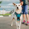 imagerabbitgoo Dog Harness NoPull Pet Harness with 2 Leash Clips Adjustable Soft Padded Dog Vest Reflective NoChoke Pet Oxford Vest with Easy Control Handle for Large Dogs Purple LTeal