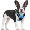 imagerabbitgoo Dog Harness NoPull Pet Harness with 2 Leash Clips Adjustable Soft Padded Dog Vest Reflective NoChoke Pet Oxford Vest with Easy Control Handle for Large Dogs Purple LBlue