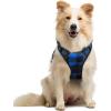 imagerabbitgoo Dog Harness NoPull Pet Harness with 2 Leash Clips Adjustable Soft Padded Dog Vest Reflective NoChoke Pet Oxford Vest with Easy Control Handle for Large Dogs Purple LCheckered Blue