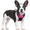 imagerabbitgoo Dog Harness NoPull Pet Harness with 2 Leash Clips Adjustable Soft Padded Dog Vest Reflective NoChoke Pet Oxford Vest with Easy Control Handle for Large Dogs Purple LHot Pink