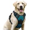 imagerabbitgoo Dog Harness NoPull Pet Harness with 2 Leash Clips Adjustable Soft Padded Dog Vest Reflective NoChoke Pet Oxford Vest with Easy Control Handle for Large Dogs Purple LBlue Coral