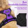 imagerabbitgoo Dog Harness NoPull Pet Harness with 2 Leash Clips Adjustable Soft Padded Dog Vest Reflective NoChoke Pet Oxford Vest with Easy Control Handle for Large Dogs Purple LPurple