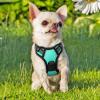 imagerabbitgoo Dog Harness NoPull Pet Harness with 2 Leash Clips Adjustable Soft Padded Dog Vest Reflective NoChoke Pet Oxford Vest with Easy Control Handle for Large Dogs Purple LTurquoise