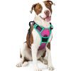 imagerabbitgoo Dog Harness NoPull Pet Harness with 2 Leash Clips Adjustable Soft Padded Dog Vest Reflective NoChoke Pet Oxford Vest with Easy Control Handle for Large Dogs Purple LHot Pink  Turquoise