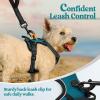 imagerabbitgoo Dog Harness NoPull Pet Harness with 2 Leash Clips Adjustable Soft Padded Dog Vest Reflective NoChoke Pet Oxford Vest with Easy Control Handle for Large Dogs Purple LBlue Coral