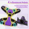 imagerabbitgoo Dog Harness NoPull Pet Harness with 2 Leash Clips Adjustable Soft Padded Dog Vest Reflective NoChoke Pet Oxford Vest with Easy Control Handle for Large Dogs Purple LPurple  Yellow
