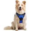 imagerabbitgoo Dog Harness NoPull Pet Harness with 2 Leash Clips Adjustable Soft Padded Dog Vest Reflective NoChoke Pet Oxford Vest with Easy Control Handle for Large Dogs Purple LDazzling Blue