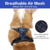 imagerabbitgoo Dog Harness NoPull Pet Harness with 2 Leash Clips Adjustable Soft Padded Dog Vest Reflective NoChoke Pet Oxford Vest with Easy Control Handle for Large Dogs Purple LCheckered Blue