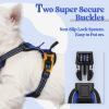 imagerabbitgoo Dog Harness NoPull Pet Harness with 2 Leash Clips Adjustable Soft Padded Dog Vest Reflective NoChoke Pet Oxford Vest with Easy Control Handle for Large Dogs Purple LDazzling Blue