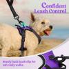 imagerabbitgoo Dog Harness NoPull Pet Harness with 2 Leash Clips Adjustable Soft Padded Dog Vest Reflective NoChoke Pet Oxford Vest with Easy Control Handle for Large Dogs Purple LPurple