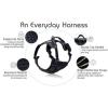 imagerabbitgoo Dog Harness NoPull Pet Harness with 2 Leash Clips Adjustable Soft Padded Dog Vest Reflective NoChoke Pet Oxford Vest with Easy Control Handle for Large Dogs Purple LBlack