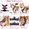 imagerabbitgoo Dog Harness NoPull Pet Harness with 2 Leash Clips Adjustable Soft Padded Dog Vest Reflective NoChoke Pet Oxford Vest with Easy Control Handle for Large Dogs Purple LHot Pink