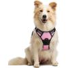 imagerabbitgoo Dog Harness NoPull Pet Harness with 2 Leash Clips Adjustable Soft Padded Dog Vest Reflective NoChoke Pet Oxford Vest with Easy Control Handle for Large Dogs Purple LPink
