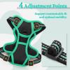 imagerabbitgoo Dog Harness NoPull Pet Harness with 2 Leash Clips Adjustable Soft Padded Dog Vest Reflective NoChoke Pet Oxford Vest with Easy Control Handle for Large Dogs Purple LBlack  Turquoise