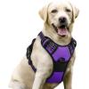 imagerabbitgoo Dog Harness NoPull Pet Harness with 2 Leash Clips Adjustable Soft Padded Dog Vest Reflective NoChoke Pet Oxford Vest with Easy Control Handle for Large Dogs Purple LPurple