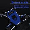 imagerabbitgoo Dog Harness NoPull Pet Harness with 2 Leash Clips Adjustable Soft Padded Dog Vest Reflective NoChoke Pet Oxford Vest with Easy Control Handle for Large Dogs Purple LDazzling Blue