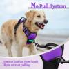 imagerabbitgoo Dog Harness NoPull Pet Harness with 2 Leash Clips Adjustable Soft Padded Dog Vest Reflective NoChoke Pet Oxford Vest with Easy Control Handle for Large Dogs Purple LPurple