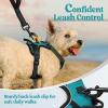 imagerabbitgoo Dog Harness NoPull Pet Harness with 2 Leash Clips Adjustable Soft Padded Dog Vest Reflective NoChoke Pet Oxford Vest with Easy Control Handle for Large Dogs Purple LTeal