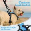 imagerabbitgoo Dog Harness NoPull Pet Harness with 2 Leash Clips Adjustable Soft Padded Dog Vest Reflective NoChoke Pet Oxford Vest with Easy Control Handle for Large Dogs Purple LBlue