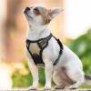 imagerabbitgoo Dog Harness NoPull Pet Harness with 2 Leash Clips Adjustable Soft Padded Dog Vest Reflective NoChoke Pet Oxford Vest with Easy Control Handle for Large Dogs Purple LBeige