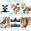 imagerabbitgoo Dog Harness NoPull Pet Harness with 2 Leash Clips Adjustable Soft Padded Dog Vest Reflective NoChoke Pet Oxford Vest with Easy Control Handle for Large Dogs Purple LTurquoise