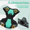 imagerabbitgoo Dog Harness NoPull Pet Harness with 2 Leash Clips Adjustable Soft Padded Dog Vest Reflective NoChoke Pet Oxford Vest with Easy Control Handle for Large Dogs Purple LTurquoise