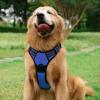 imagerabbitgoo Dog Harness NoPull Pet Harness with 2 Leash Clips Adjustable Soft Padded Dog Vest Reflective NoChoke Pet Oxford Vest with Easy Control Handle for Large Dogs Purple LDazzling Blue