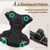 imagerabbitgoo Dog Harness NoPull Pet Harness with 2 Leash Clips Adjustable Soft Padded Dog Vest Reflective NoChoke Pet Oxford Vest with Easy Control Handle for Large Dogs Purple LBlack