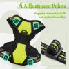 imagerabbitgoo Dog Harness NoPull Pet Harness with 2 Leash Clips Adjustable Soft Padded Dog Vest Reflective NoChoke Pet Oxford Vest with Easy Control Handle for Large Dogs Purple LWild Lime