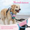 imagerabbitgoo Dog Harness NoPull Pet Harness with 2 Leash Clips Adjustable Soft Padded Dog Vest Reflective NoChoke Pet Oxford Vest with Easy Control Handle for Large Dogs Purple LPink  Blue