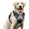 imagerabbitgoo Dog Harness NoPull Pet Harness with 2 Leash Clips Adjustable Soft Padded Dog Vest Reflective NoChoke Pet Oxford Vest with Easy Control Handle for Large Dogs Purple LGray