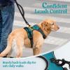 imagerabbitgoo Dog Harness NoPull Pet Harness with 2 Leash Clips Adjustable Soft Padded Dog Vest Reflective NoChoke Pet Oxford Vest with Easy Control Handle for Large Dogs Purple LTeal